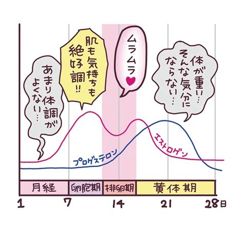 生理後は性欲が強くなる？生理周期別の性に関する過ごし方を紹。